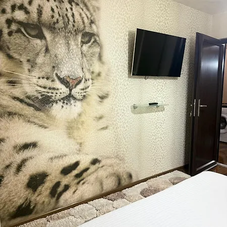 Lux Ultracentral Apartment Craiova